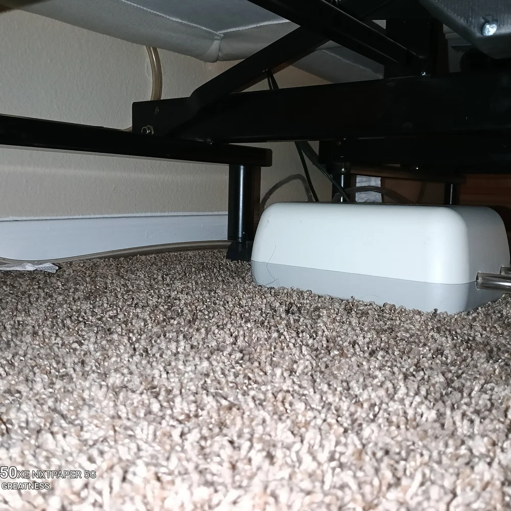 Classic White Mattress Cover with Plush Feel